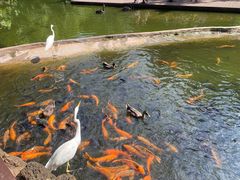 -海南热带野生动植物园