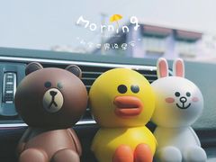 -line friends(明洞旗舰店)