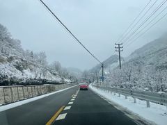 -四明山国家森林公园