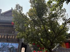 -重庆十八梯传统风貌区