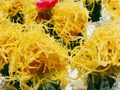 -素德轩素食餐厅(东港店)