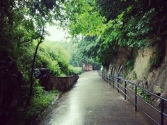 -上海佘山国家森林公园西佘山园