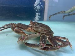 -馋嘴猫·北京食堂·宵夜(亚运村店)