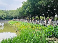 -黄埔古港