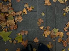 -南京市民俗博物馆(甘熙故居)