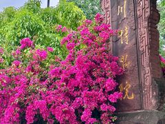 -四川博物院