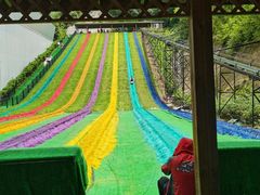 -梦幻奥陶纪景区