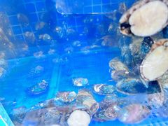 -渔夫蒸鲜(世奥湾店)
