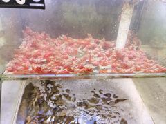 -星奇缘·海鲜餐厅(东山美食地标店)