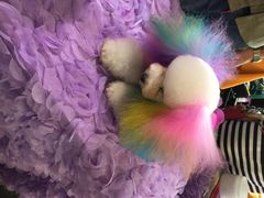 世博展览馆-东浩兰生上海世博展览馆