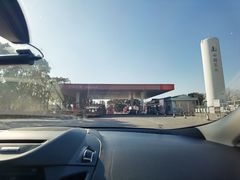 -临港服务区·停车场