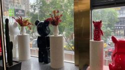 -IP SALON