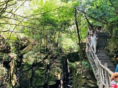 -藏龙百瀑风景区