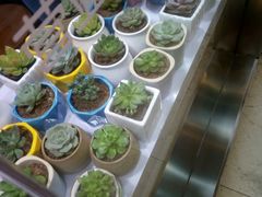 -易改衣·专业衣物奢护中心(珠江新城猎德店)