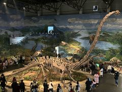 -自贡恐龙博物馆