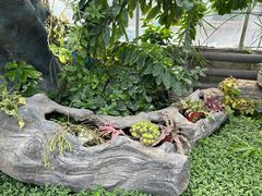-国家植物园南园