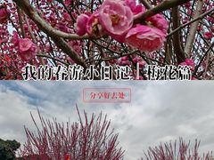 -西南交通大学(九里校区)