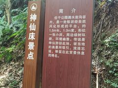 -滴水岩森林公园