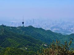 -梧桐山风景名胜区