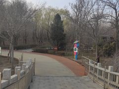 -塘沽森林公园