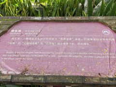 -一寨两国风景区