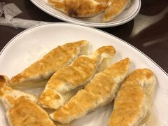 豬肉鍋貼-高雄杨宝宝锅贴