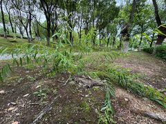 -白塘生态植物园