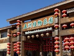 -南宫五洲植物乐园