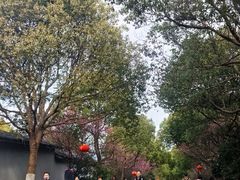 -南京市江宁方山