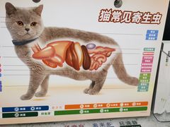 -瑞鹏宠物医院·微创内窥镜·骨外科·牙科(翠竹分院)