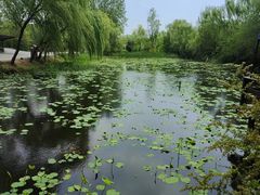 -溱湖国家湿地公园