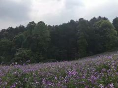 -保利石象湖景区