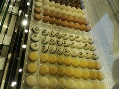 -BLACKSWAN黑天鹅(环球店)