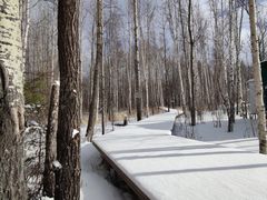 -长白山红松王滑雪场