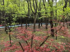 -嘉北郊野公园