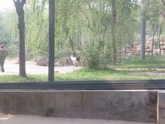 android_upload_pic-石家庄市动物园