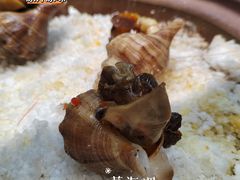 -狮伙海鲜捞(千灯湖店)