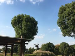 -九里河湿地公园