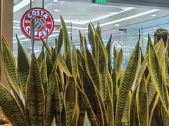 -COSTA COFFEE(丰联广场店)