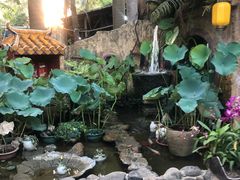 -园林美食城·本土农家菜(杨和镇店)