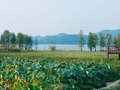 -四明湖
