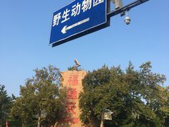 -西霞口神雕山野生动物世界