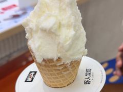 -野人先生现做冰淇淋(西安赛格店)