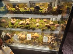 -滇野云南野生菌餐厅(陕西南路店)