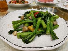 菜心炒均安鲮鱼丸-顺德渔村·岭南一号