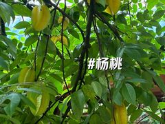 -曼丢傣家古寨