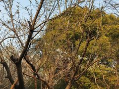 -苏州河梦清园环保主题公园