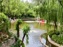 -西安市长乐公园