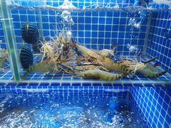 -吉源大排档·鱼生·海鲜(烧烤彩印厂店)