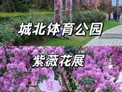 -杭州城北体育公园